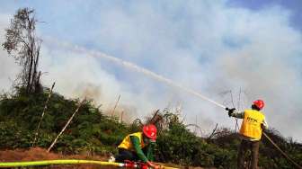 Kebakaran Hutan di Riau