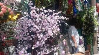 Cantiknya Bunga "Mei Hwa" di Hari Imlek