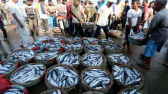 Harga Ikan Laut di Pandeglang Naik Drastis, Pedagang Ngaku Mumet