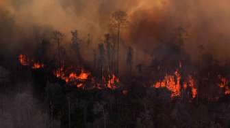   Meningkat Tajam, Keberadaan Titik Panas di Riau