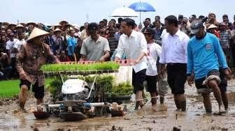 9 Mei, Presiden Jokowi Dijadwalkan Ikut Panen Raya di Merauke