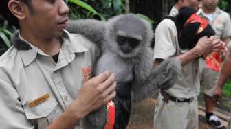 Upacara Tumpek Kandang