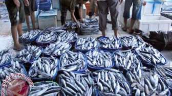 5 Ton Ikan Berformalin dari Jakarta Masuk Lampung