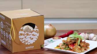 VIDEO: Resep Membuat Jamur Asam Manis Pedas