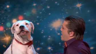 VIDEO: Wow, Anjing Bisa Nyanyikan Lagu Whitney Houston