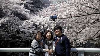 Sebagian orang tak ketinggalan berfoto 'selfie' dengan latar pohon-pohon dan bunga Sakura yang tengah bersemi sempurna, di Tokyo, Jepang, Senin (30/3/2015) lalu. [Reuters/Toru Hanai]