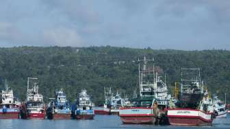 Menko: Maluku Segera Ditetapkan jadi Lumbung Ikan Nasional