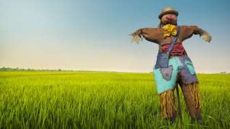 Unik, Pria Ini Gunakan Orang-orangan Sawah untuk Halau Virus Corona