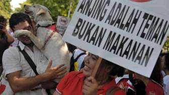 Anti Pembantaian Anjing