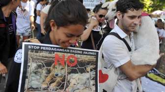 Anti Pembantaian Anjing