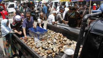 Pedagang batu akik di Jatinegara, Jakarta Timur. (suara.com/Kurniawan Mas'ud)