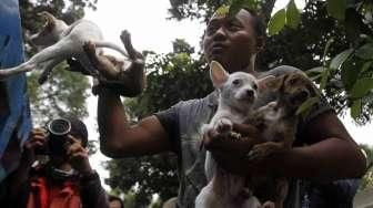 razia pedagang anjing dan kucing ilegal di jalan Latuharhari Jakarta, Kamis (9/4).