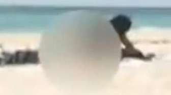 Bercinta di Pantai, Pasangan Ini Terancam 15 Tahun Penjara