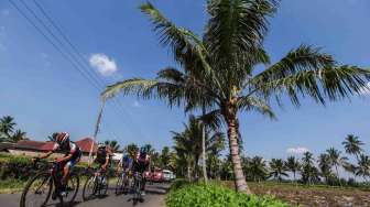 Tour De Ijen Dongkrak Omzet Produsen Kaus