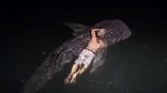 VIDEO: Nelayan Ini Terjun ke Laut untuk Tangkap Hiu Raksasa