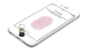 Rumor: Apple Tetap Menghapus Touch ID di iPhone Terbaru