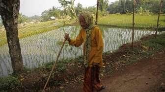 Anami Ikut Kontes Wanita Tertua di Dunia