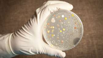 Ilmuwan Menemukan 900 Lebih Mikroba di Dalam Es Gletser dari Tibet, Bisa Memicu Pandemi Bila Mencair