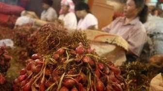 Petani Bawang Merah di Jakarta Panen Besar