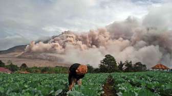 Awan Panas Sinabung