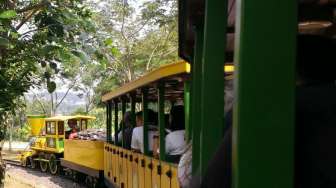 Rasakan Serunya Naik Texan Train di "Jungleland"