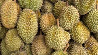 Tragis! Gagal Bayar Utang Hampir Rp 300 Juta ke Lintah Darat, Wanita Ini Ditampar Pakai Kulit Durian