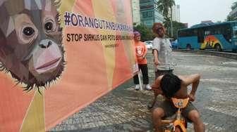 Stop Eksploitasi Orangutan