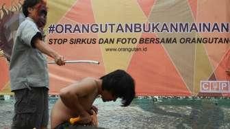 Stop Eksploitasi Orangutan