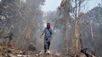 Kebakaran Lahan di Jambi