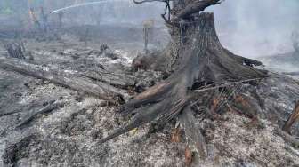 Kebakaran Lahan di Jambi