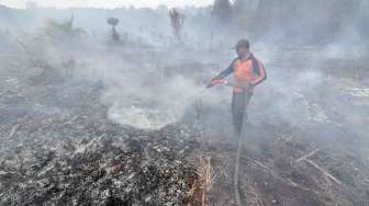 Kebakaran Lahan di Jambi