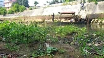 Sungai Ciliwung Mengering