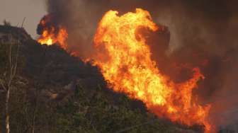 BPBD Balikpapan Imbau Masyarakat Waspada, Kebakaran Lahan Semakin Sering