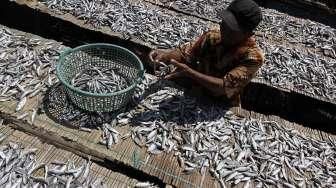 Produksi ikan asin di Muara Angke meningkat 50 persen yakni dari 4 ton menjadi 6 ton per hari. 