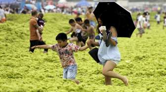 Asyik Mandi di Pantai 'Pasir Hijau'