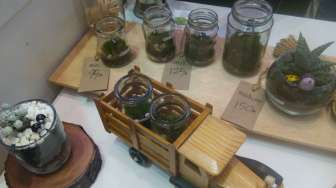 Terrarium Unik Ini Bikin Kamar Kamu Makin Cantik