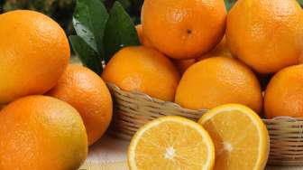 Tetap Terhidrasi dan Konsumsi Vitamin C, Biker Tetap Bugar