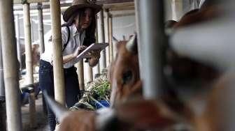 SPG Penjaja Hewan Kurban