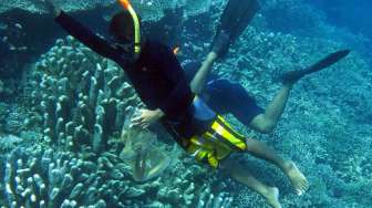 Bersihkan Taman Laut