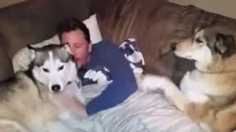 VIDEO: Ternyata, Anjing Bisa Cemburu Juga Lho