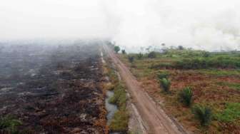 Pembakaran Lahan Masih terjadi