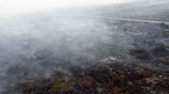 Ngeyel Bakar Lahan di Pontianak, Siap-siap Tak Dikasih IMB