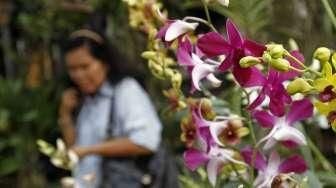 Pameran Flora Jakarta 2015