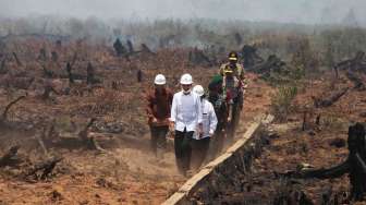 Jokowi Tinjau Lokasi Kebakaran Lahan