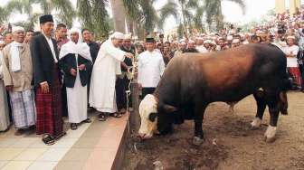 jokowi Salat Id di Martapura