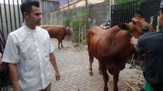 Raffi Ahmad Sembelih 4 Ekor Sapi dan 3 Ekor Kambing