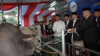 Serahkan Sapi Kurban 1,3 Ton