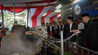 Serahkan Sapi Kurban 1,3 Ton