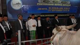 Serahkan Sapi Kurban 1,3 Ton