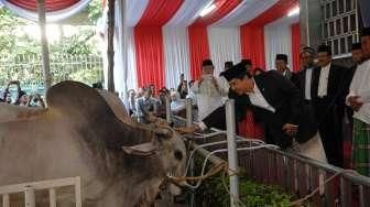 Peternak Ini Kaget Sapi Miliknya Dibeli Jokowi Rp70 Juta